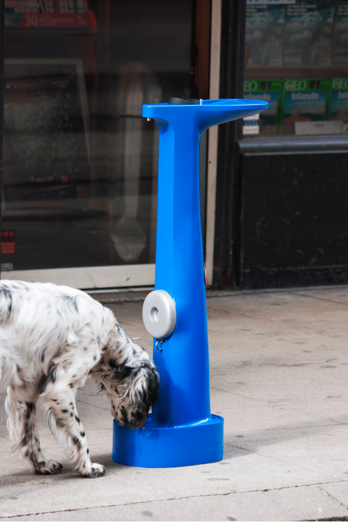 Screen Shot 2019-05-08 at 4.31.40 PM