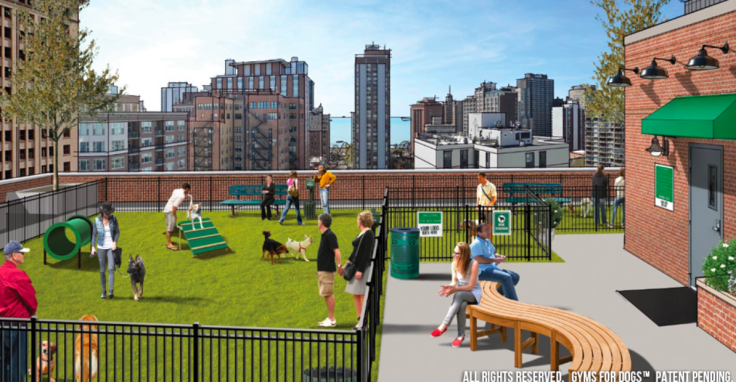 Screen Shot 2019-05-08 at 4.32.08 PM