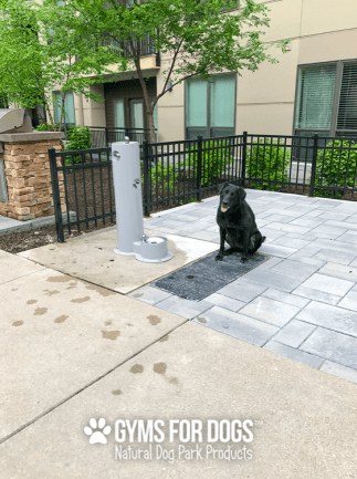 Screen Shot 2019-05-08 at 4.32.26 PM